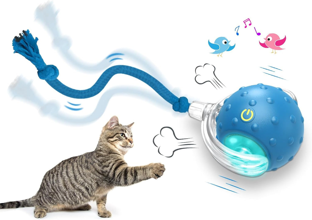 Interactive Cat Toys Ball for Indoor Cats Fast Rolling on Carpet,  &amp; Motion Activate Cat Toys (Blue)