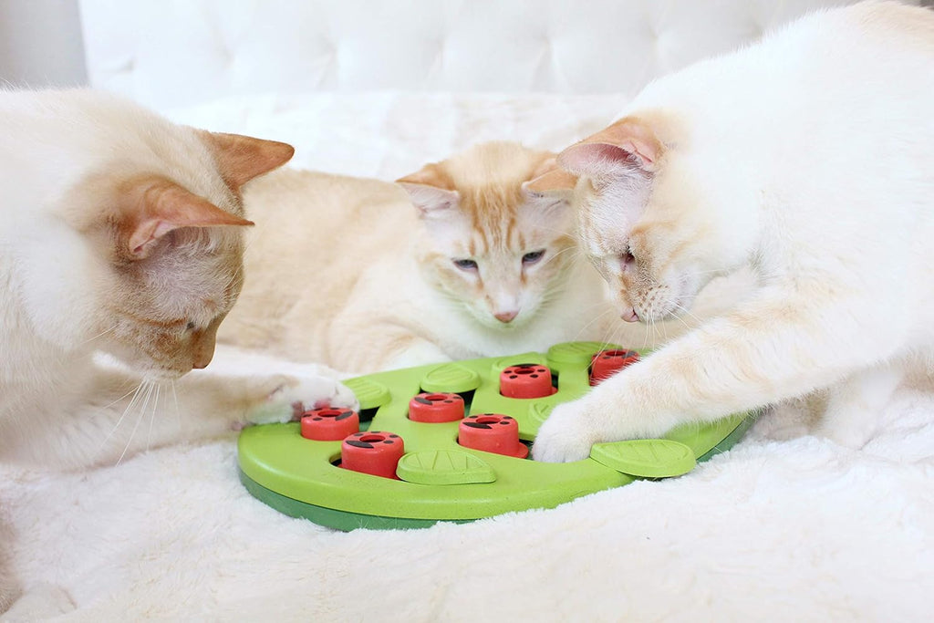 Interactive Cat Treat Puzzle