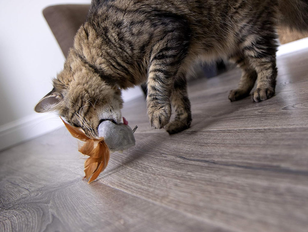 Electronic Motion Cat Toy, Battery Powered - Gray, One Size