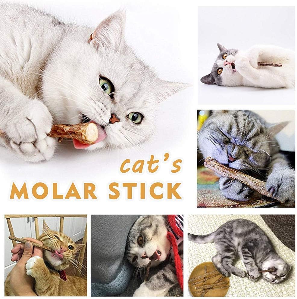 31 PCS Cat Toys Kitten Toys Assortments,Variety Catnip Toy Set Including 2 Way Tunnel,Cat Feather,Catnip Fish,Mice,Colorful Balls and Bells for Cat,Puppy,Kitty