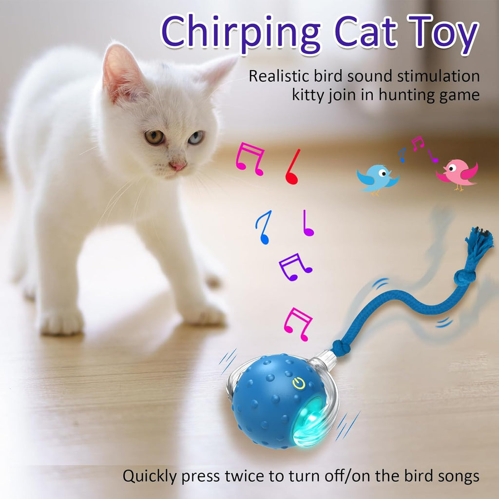 Interactive Cat Toys Ball for Indoor Cats Fast Rolling on Carpet,  &amp; Motion Activate Cat Toys (Blue)