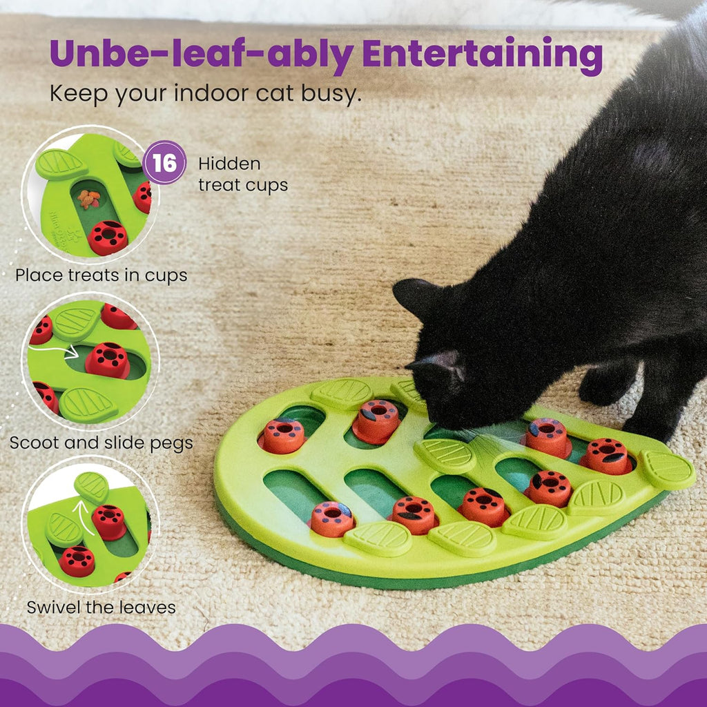 Interactive Cat Treat Puzzle