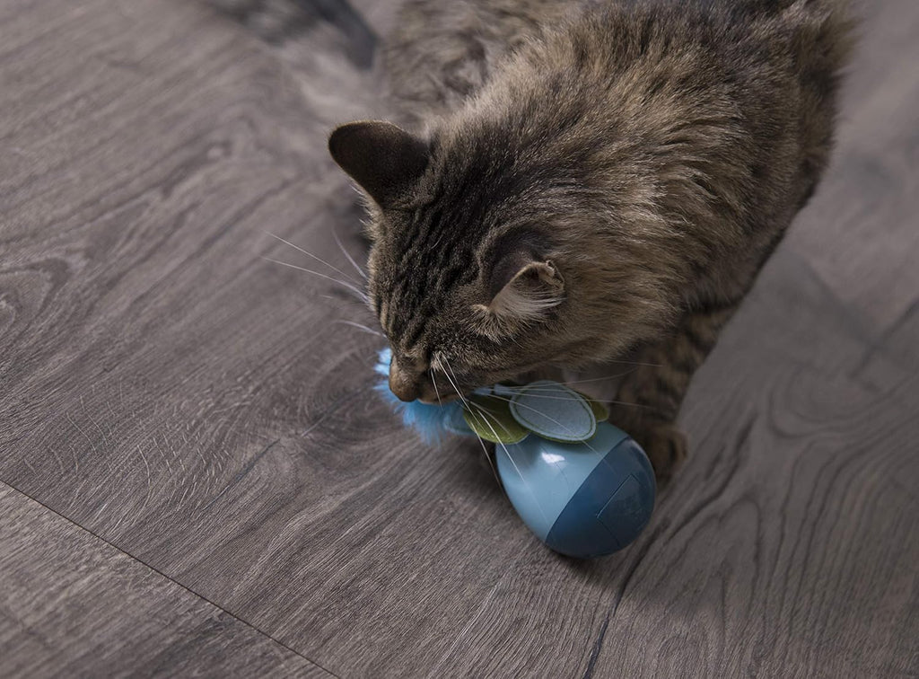 Spinning Electronic Motion Cat Toy, Battery Powered - Blue, One Size