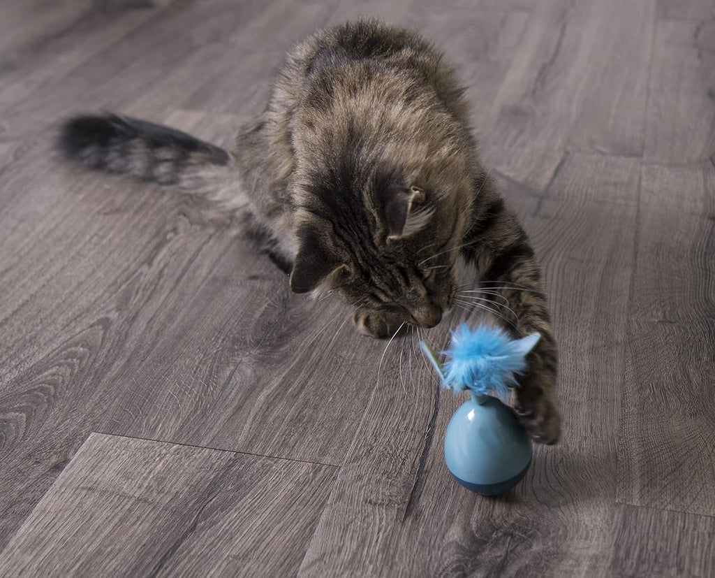 Spinning Electronic Motion Cat Toy, Battery Powered - Blue, One Size