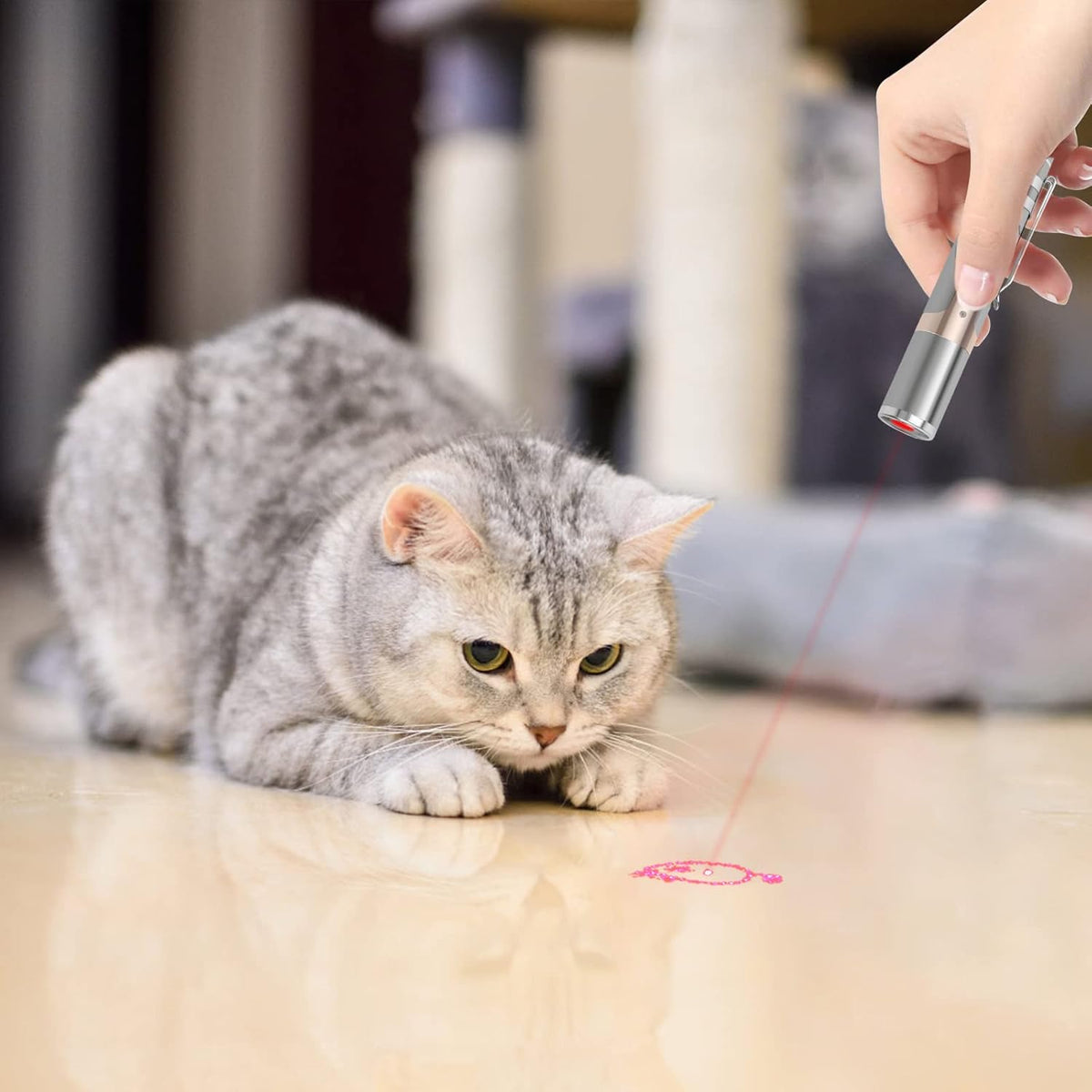Cat Toys for Indoor Cats, 2 Pieces, Rechargeable, 7 Adjustable Patterns, Interactive Kitten Pet Dog Red Dot Chase Light Toy for Cats Fun Playing Exercise