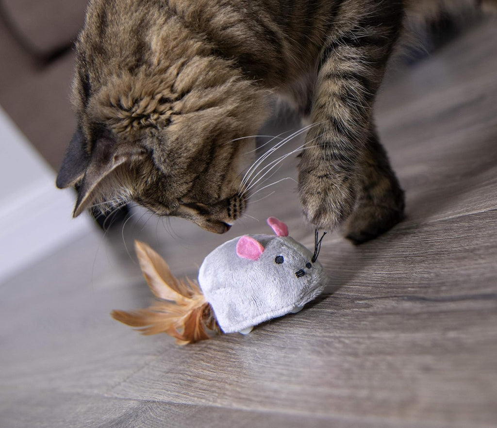 Electronic Motion Cat Toy, Battery Powered - Gray, One Size